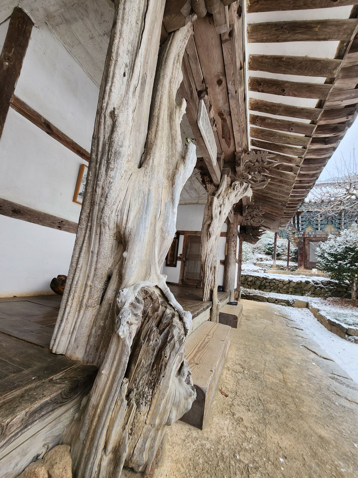 A twisting quince-tree trunk used as a pillar under wooden eaves