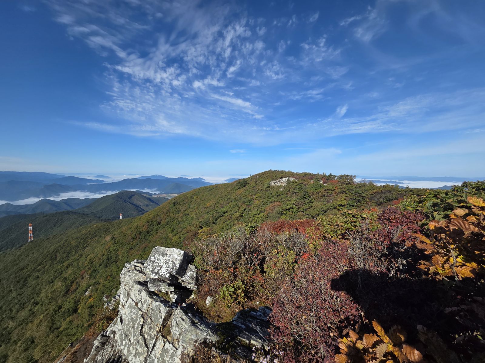 Red and gold shrubs and a grey rock outcrop in front of a green ridge, with cloud filling distant valleys under feathery cirrus