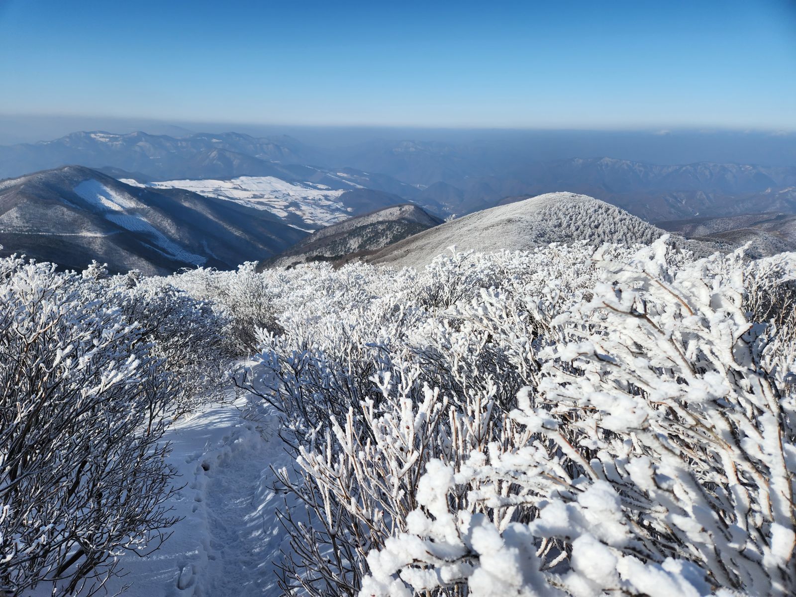 A snowy path winds between rime-covered shrubs along the winter ridge, with a rounded peak and snow-covered highland fields beyond